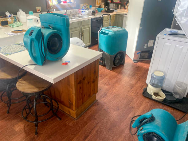 Trusted Occidental, CA Water damage restoration Experts